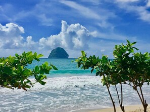 Ein Strand mit klarem türkisblauem Wasser, einer entfernten Insel und üppigem Grün im Vordergrund.