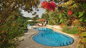 Une piscine à bord incurvé, entourée de verdure et dotée d’un petit espace extérieur aménagé avec une table et des chaises.