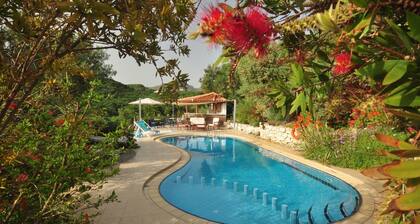 Romantic studio with semi private pool