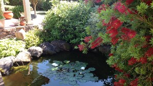 A tranquil garden pond with lily pads, surrounded by rocks and lush greenery. - RUSTIC VACATION HOUSE (Mondariz)