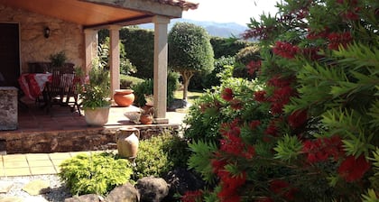 VASTUUVA TAKAUTOTALO