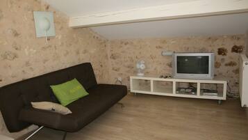 TV, DVD player, books