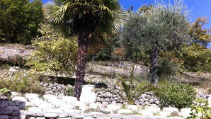 A garden with a palm tree, various shrubs, and a stone wall. - houses / villas - 5 rooms - 6/8 persons (Magagnosc)