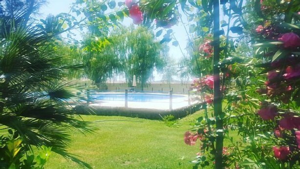 A pool surrounded by lush greenery and flowering plants. - Self catering Complejo Los Arenales for 4 people (Almagro)