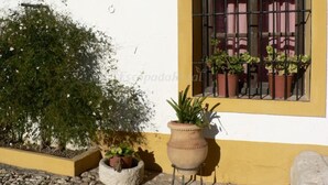 A building with a yellow and white exterior, a window with metal bars, and potted plants outside. - Cortijo la Colá - Cañete la Real, Malaga (Cañete la Real)