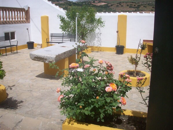 Un patio con un banco de piedra, plantas en macetas y vistas al campo.