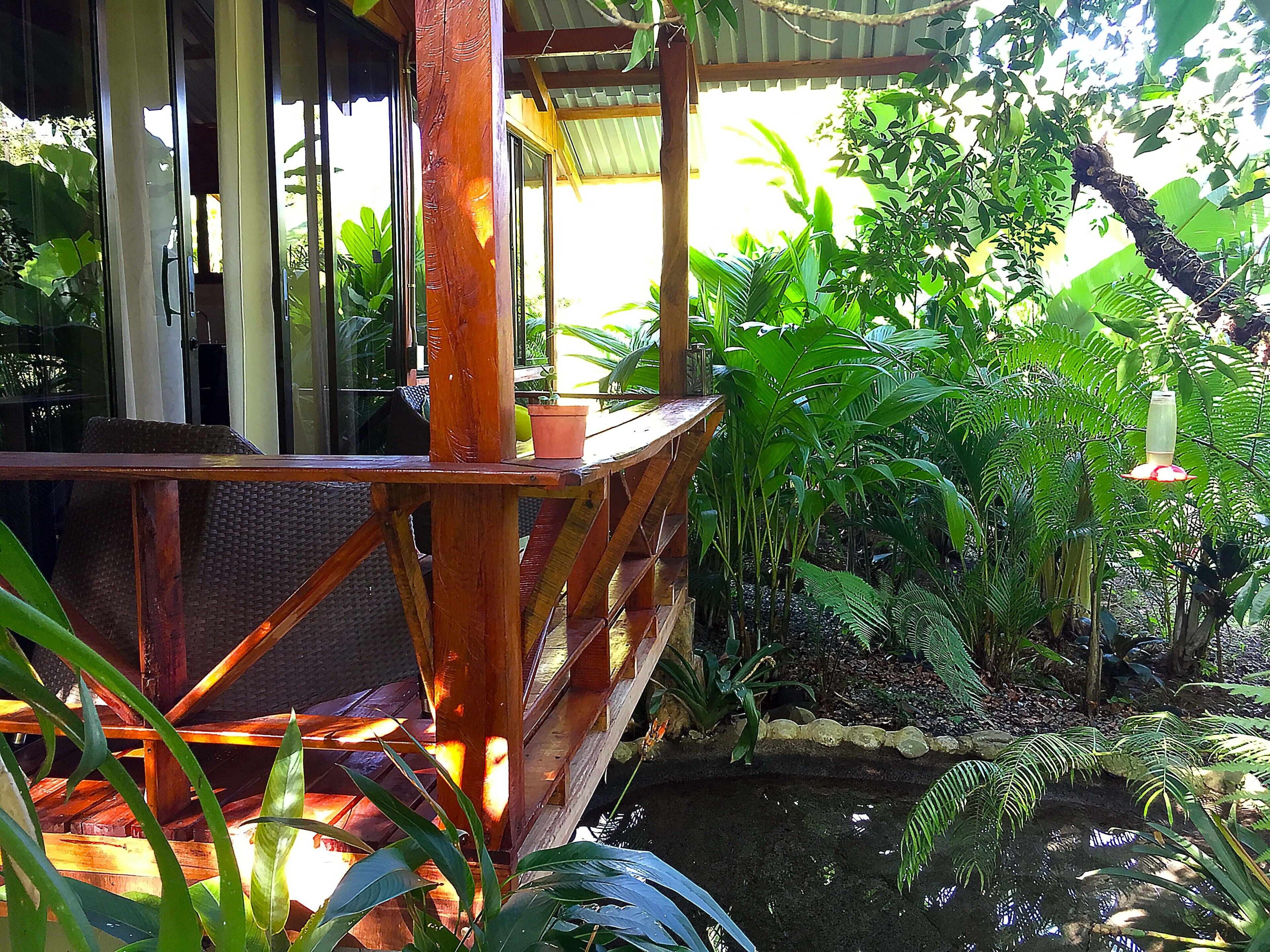 Una terraza de madera con barandilla, rodeada de exuberante vegetación tropical y un pequeño estanque.