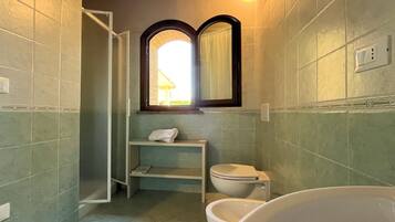Shower, hair dryer, bidet, towels