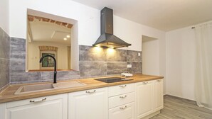 A modern kitchen with a built-in stove, a sink, and a range hood. - Holiday house Filip * large plot with garden, private pool, free WiFi (Nedescina)