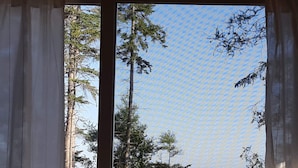 Ein Fenster mit Blick auf hohe Bäume und ein Gewässer.