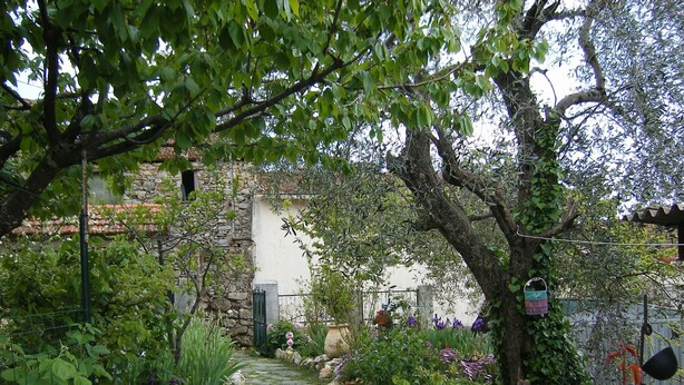 Un camí de pedra que serpenteja per un jardí exuberant ple de plantes i flors.