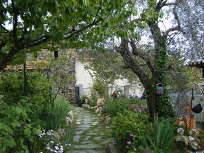 A stone pathway leading through a lush garden with various plants and flowers.