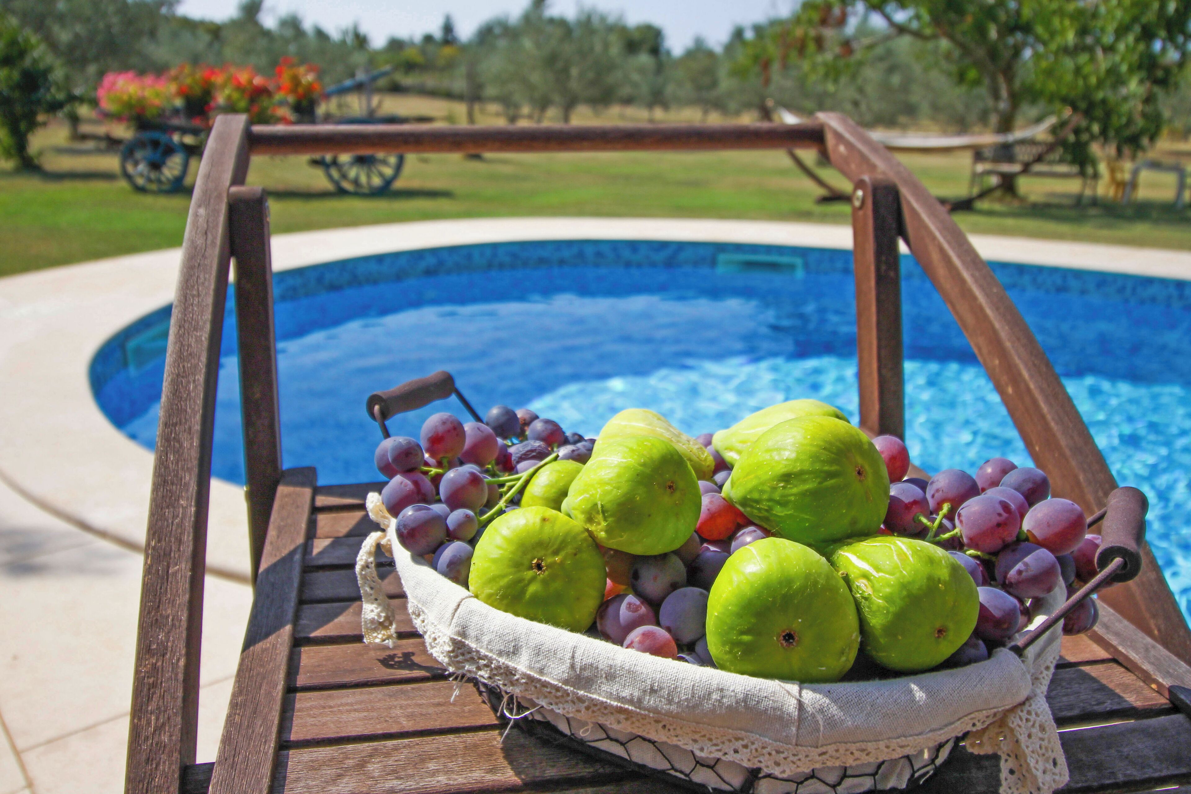 A poolside setting with a wooden chair and a basket of green apples and grapes.