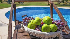 Een zwembadterras met een houten stoel en een mand vol groene appels en druiven.