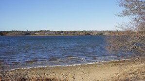Ein Strand mit sandigem Ufer, einem ruhigen See und einer Baum- und Häuserreihe im Hintergrund.