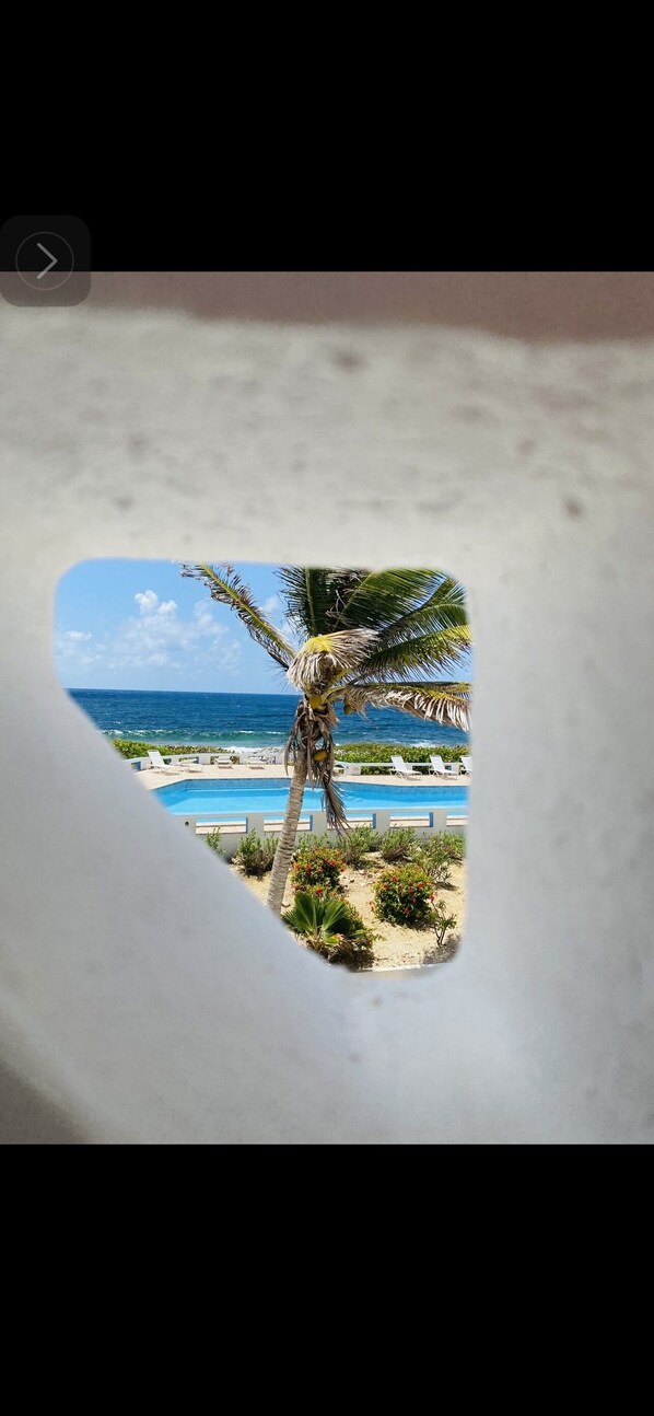 A view through a window of a pool area with a palm tree, lounge chairs, and a clear blue sky.