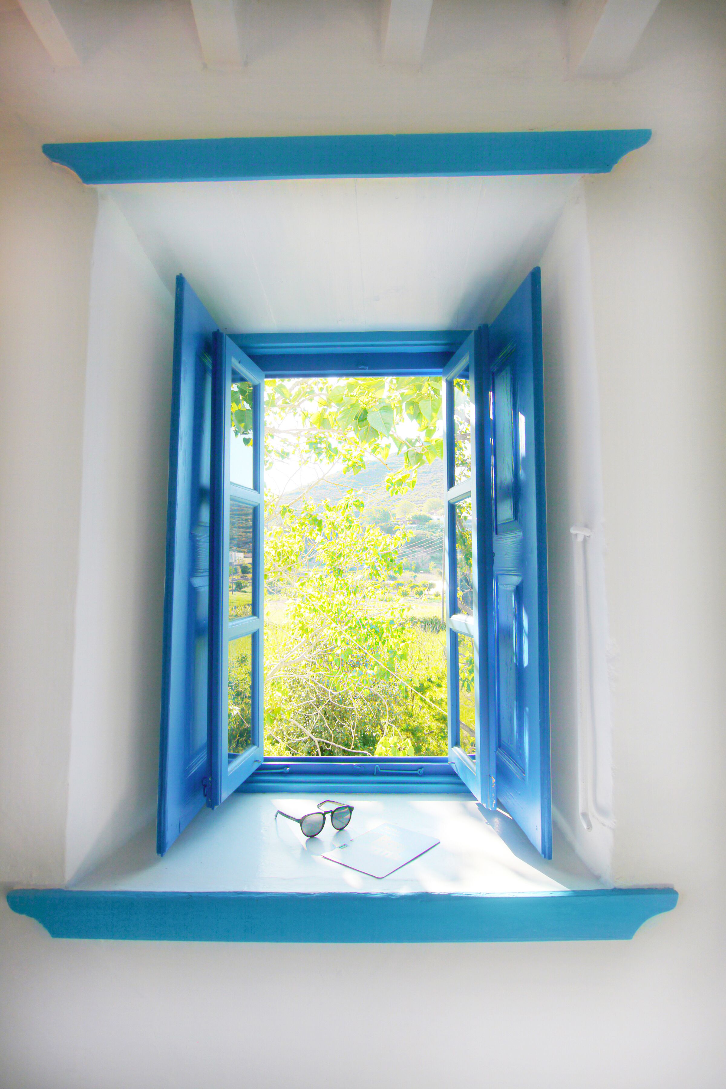 Bedroom window.