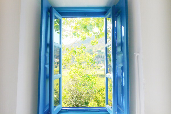 Bedroom window.
