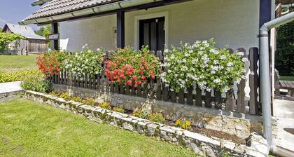 Milan in Rastovača (Haus für 4 Personen)