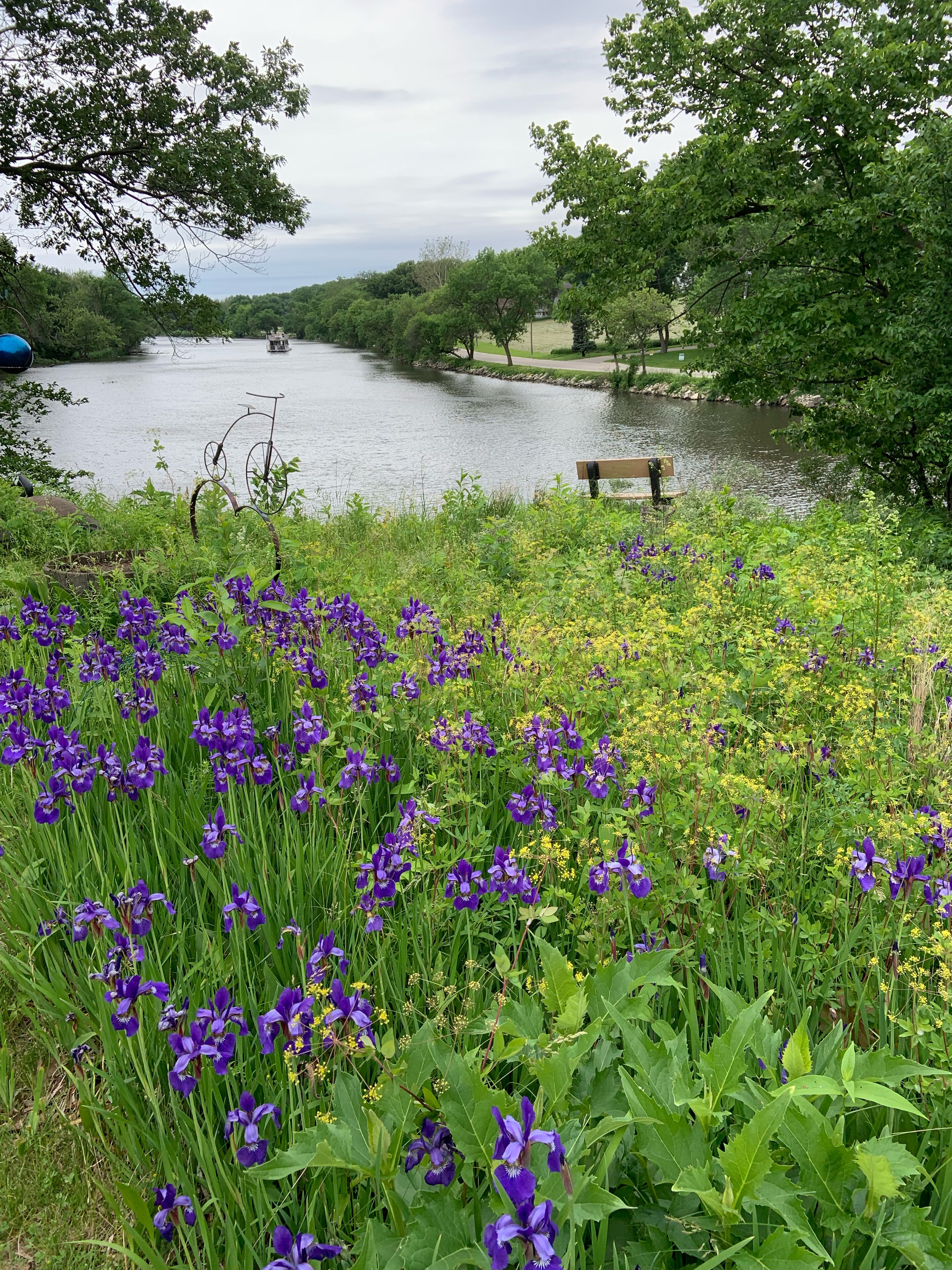 A park with a lake, a bench, and purple flowers.