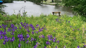 A park with a lake, a bench, and purple flowers.