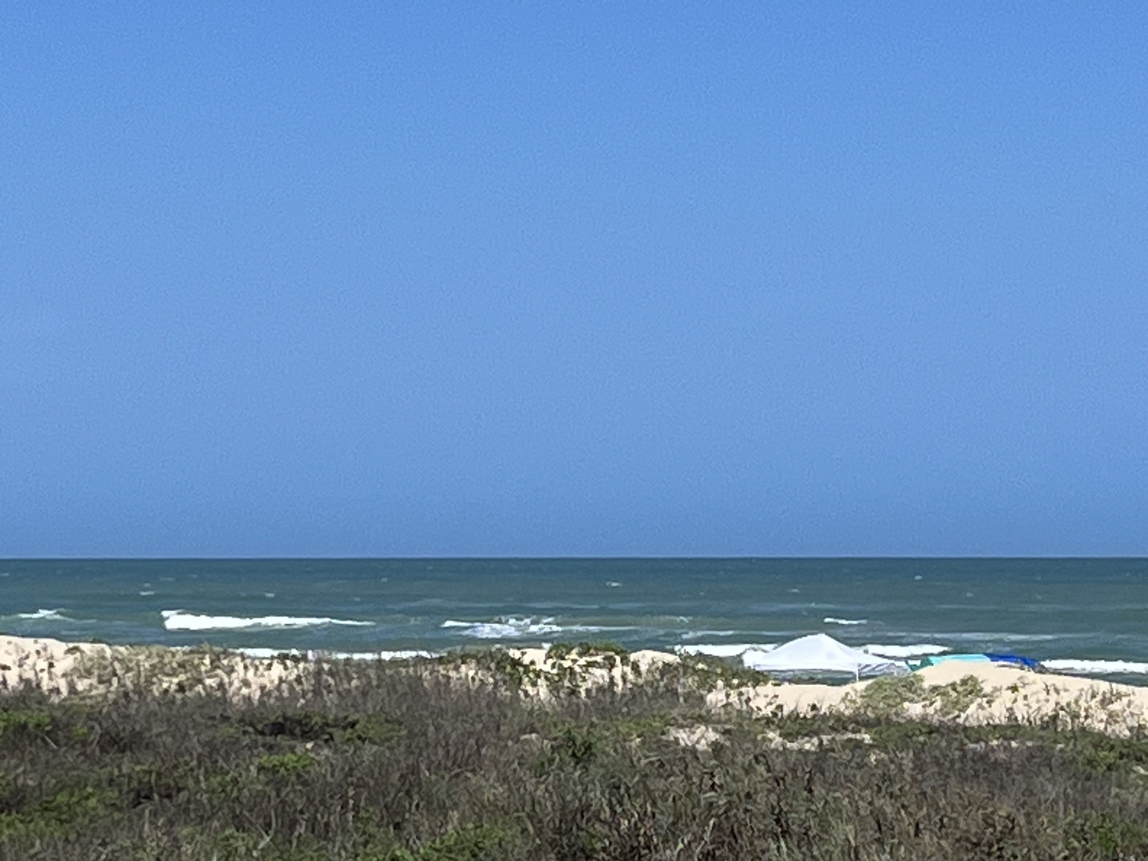 Een strand met een heldere lucht, golven in de oceaan en wat begroeiing op de voorgrond.
