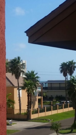 Enjoy a serene view from the balcony of this single-story building surrounded by palm trees.