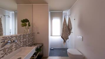 Shower, hair dryer, bidet, towels