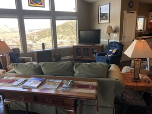 Tv, dvd-afspiller, bøger, videobibliotek