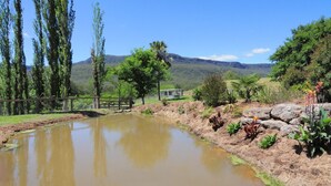 A pond with a wooden bridge, surrounded by trees and a stone wall with plants. - Spring Grove Dairy - Picturesque views! (Kangaroo Valley)