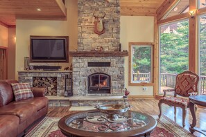 TV connectée, cheminée, jeux vidéo, lecteur de DVD