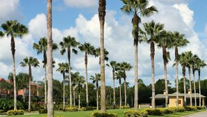 A street lined with tall palm trees and well-maintained lawns. - Your new vacation home at Paradise Palms Resort? (Kissimmee)