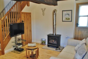 تلفزيون ذكي، مدفأة، مشغل دي في دي، مكتبة فيديو