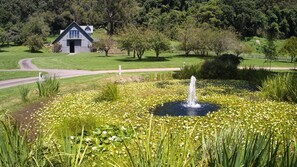 Property grounds - Alcheringa Cottage - Amazing location with views! (KANGAROO VALLEY)