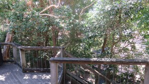 Property grounds - TREEHOUSE - ARAKOON LARGE FAMILY HOME (Arakoon)