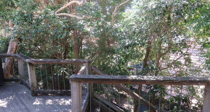 TREEHOUSE - ARAKOON LARGE FAMILY HOME