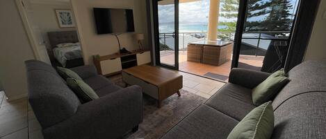 تلفزيون، مشغل دي في دي