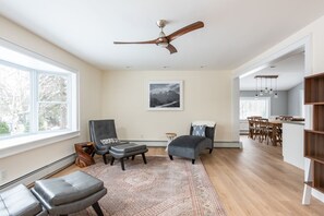 TV, fireplace, video games, music library