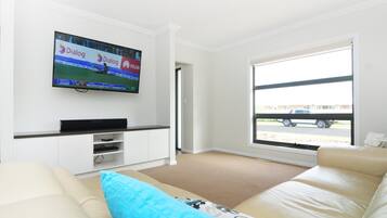 TV, fireplace, DVD player, ping pong