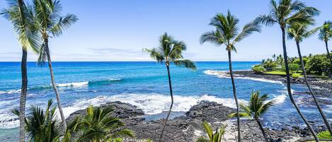 Sun loungers, beach towels