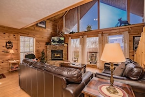 TV, fireplace, video games, DVD player - A Bird Song: Spectacular Views! Secluded, Top Amenities, only minutes from Pigeon Forge & Gatlinburg (Sevierville)