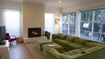 Télévision, cheminée, lecteur de DVD