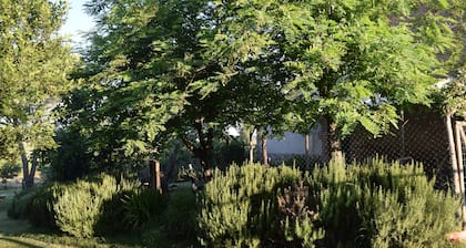 Il Saragio open space in the Tuscan countryside