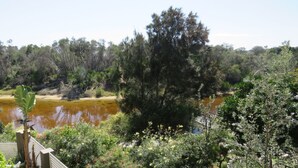 Un río rodeado de abundante vegetación y árboles.