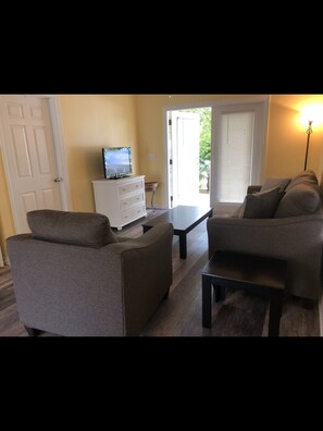 TV, DVD player, books, video library