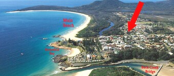 PUUHOITOYKSIKKÖ 8 - YLINEN KORKEEN SUURI SIJAINTI