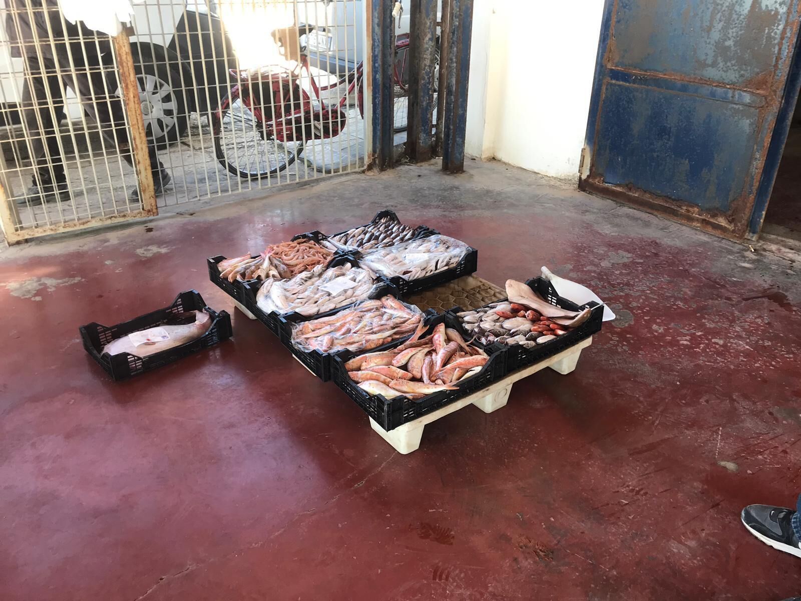 A fish market with various seafood displayed in crates.