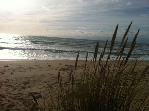 Beach nearby - Old winery close to the sea and shops on île de ré (Sainte-Marie-De-Ré)