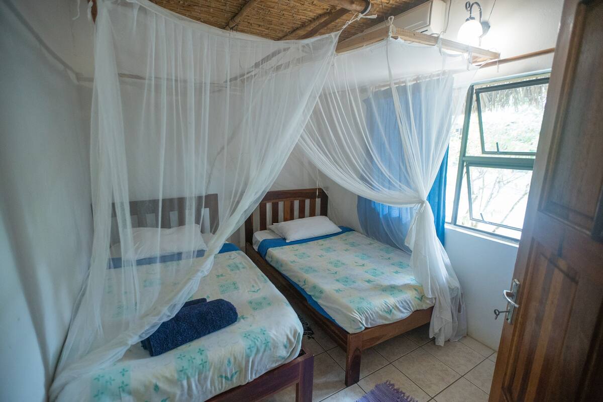 A room with two wooden beds, each with a canopy.