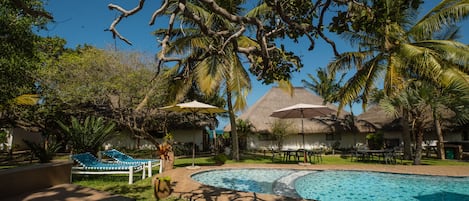 Outdoor pool, sun loungers